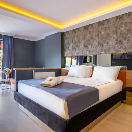 216 Bosphorus Hotell